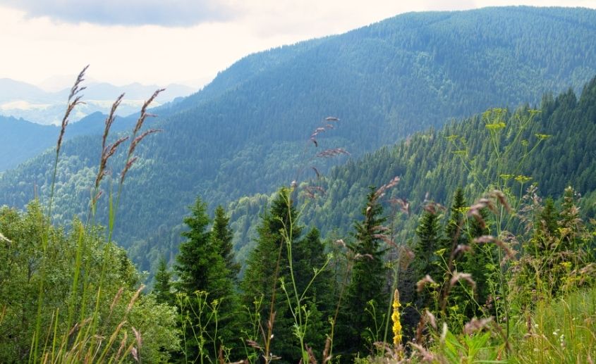 Kopaonik vreme u junu