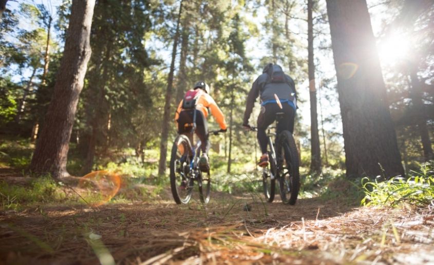 Planinski biciklizam - Kopaonik leti