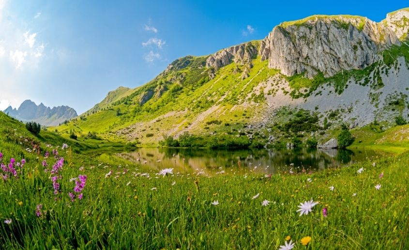 Nacionalni park sutjeska