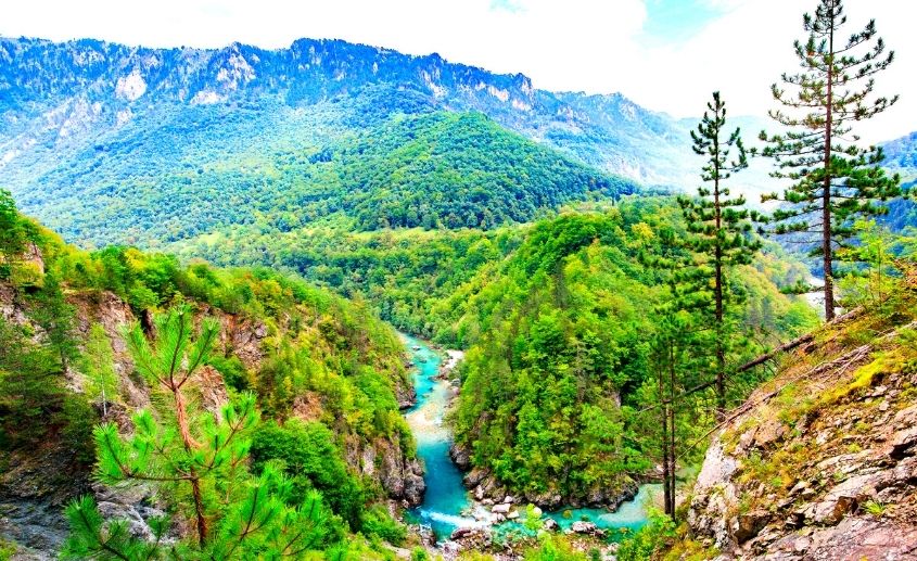 Rafting Tarom cene