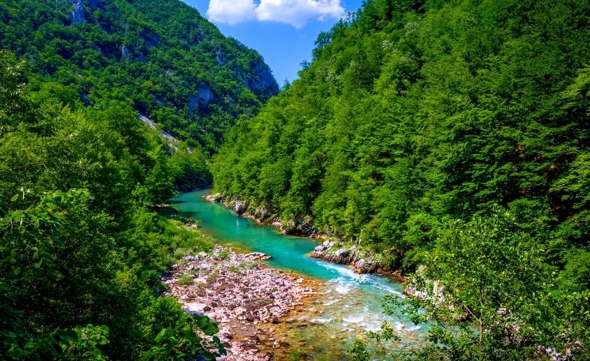 rafting tarom priroda