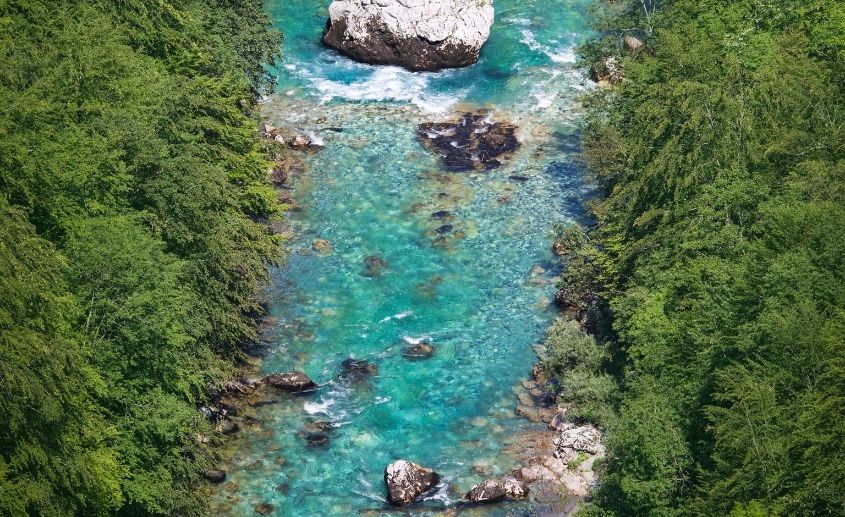 rafting tarom u avgustu