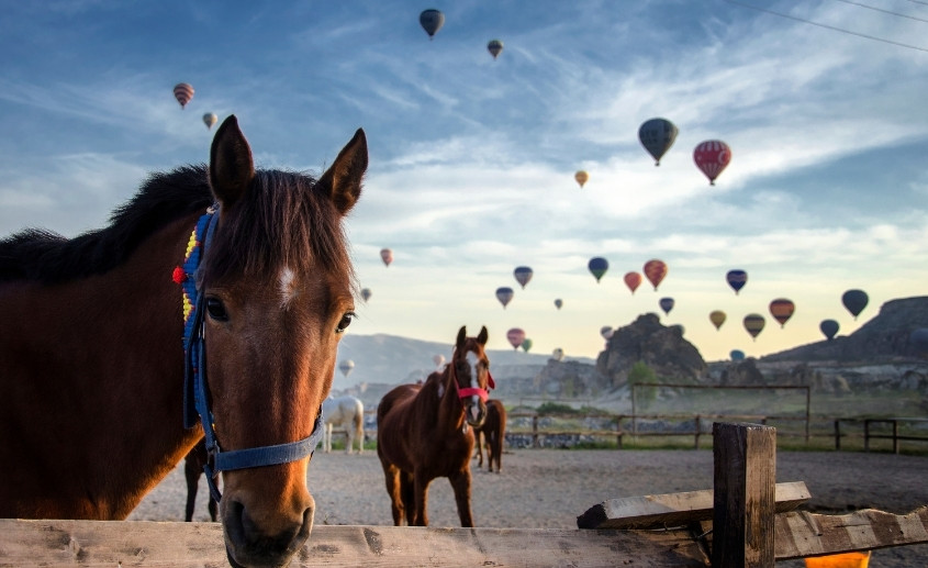Jahanje konja u Kapadokiji